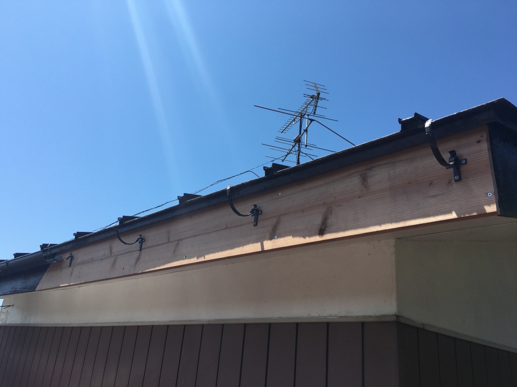 大崎市岩出山 破風板がハチに穴開けられ・・・