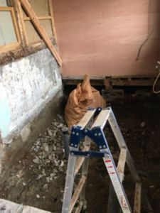 栗原市築館 T様邸 浴室改修工事の現場から( ˘ω˘ )