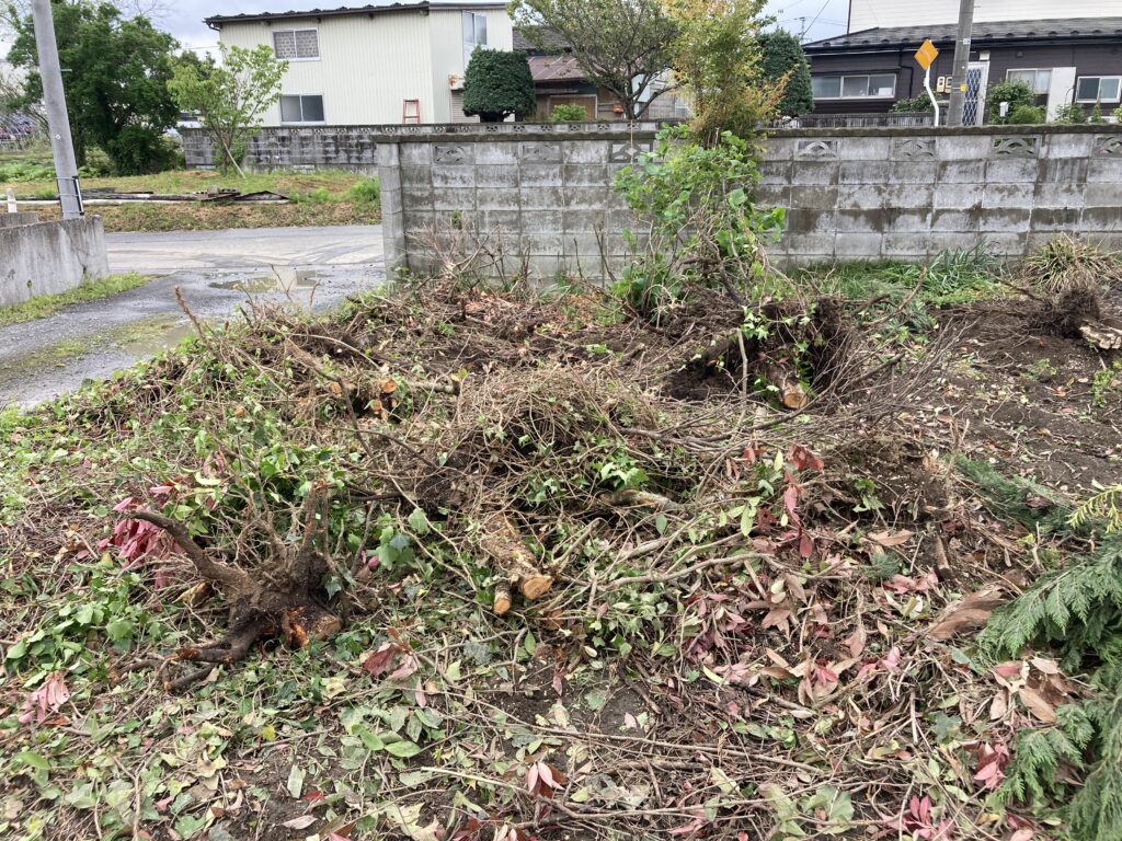 登米市豊里町 S様邸 庭木撤去・外トイレ解体工事①